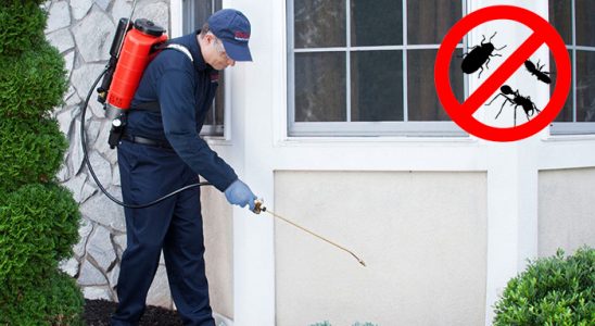 Karakeçili Bit İlaçlama böcek ilaçlama ve haşere kontrolü — ilaclama-tr.com